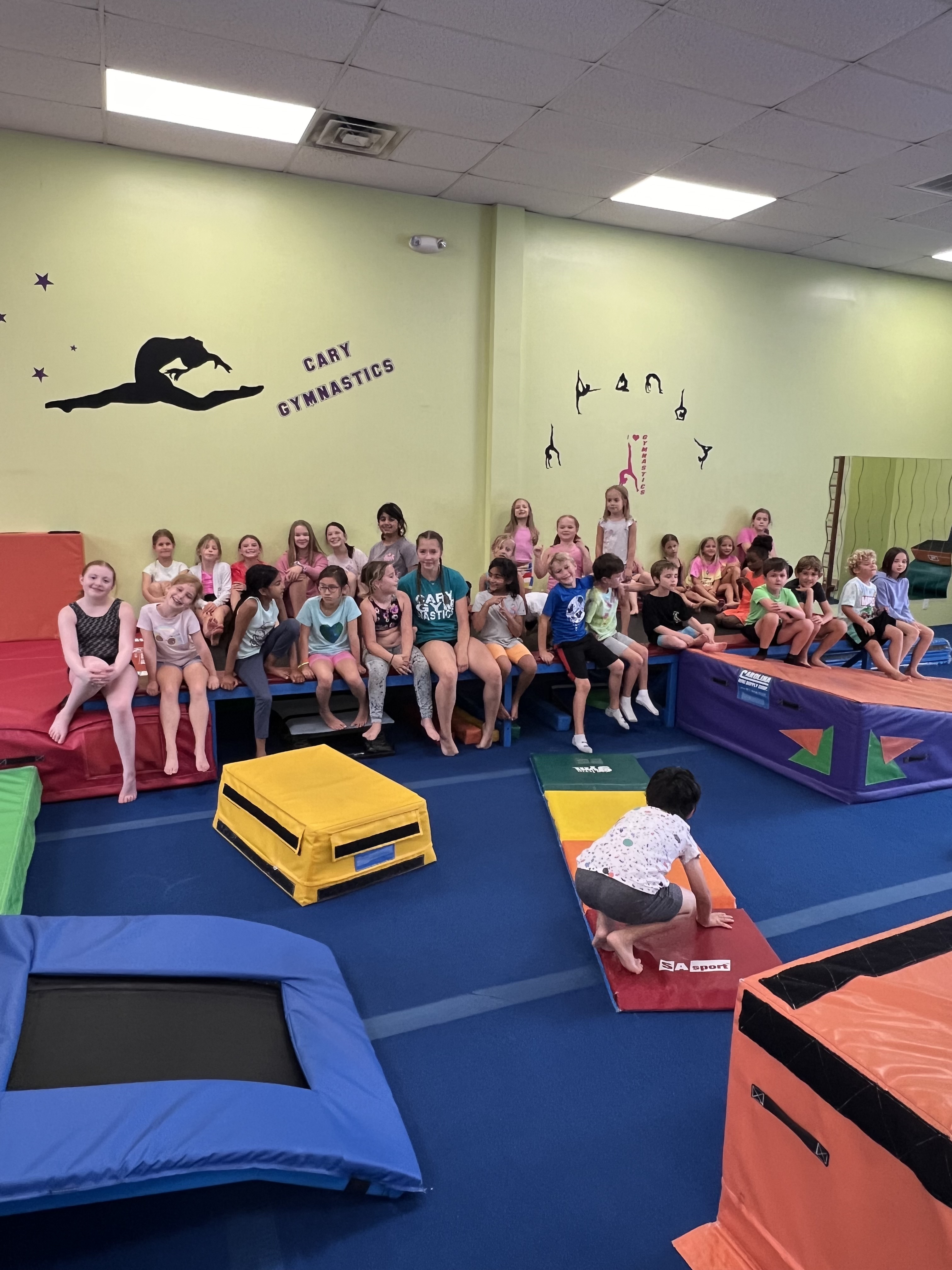 Gymastics Camp